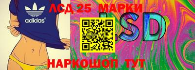 стафф Волгодонск