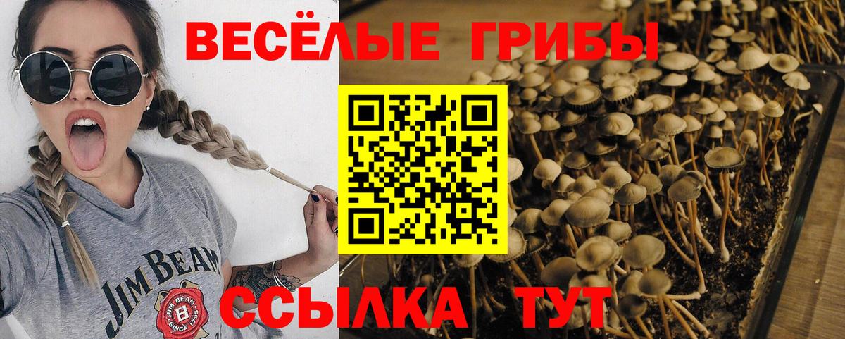 Галлюциногенные грибы прущие грибы Богданович